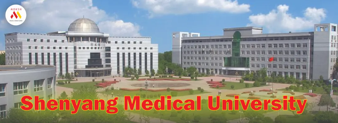 Shenyang Medical University